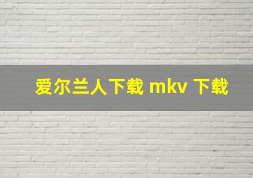 爱尔兰人下载 mkv 下载